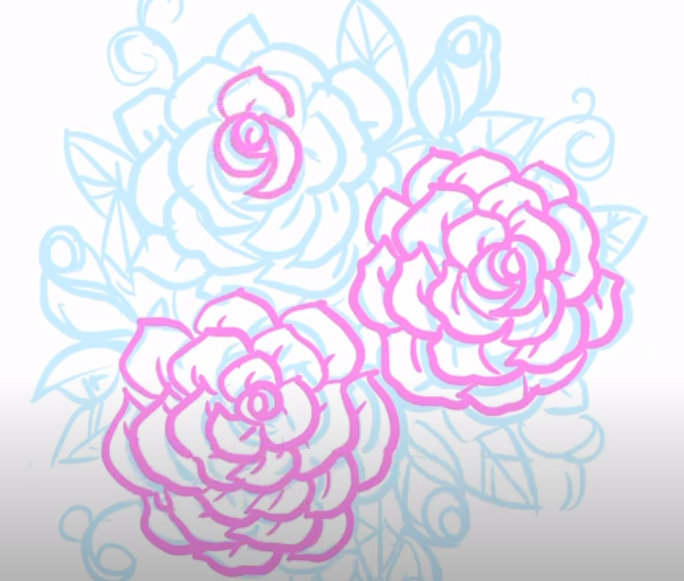 バラの花描き方５