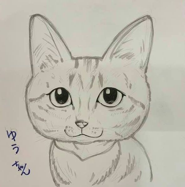 ネコの描き方