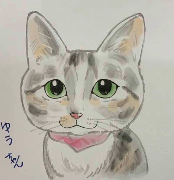 猫の描き方 簡単 鉛筆でかわいいイラスト 似顔絵 イラスト描き方講座